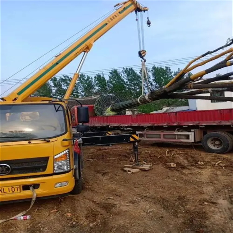 浠水100吨吊车租赁费用怎么算？3大关键因素+省钱技巧全解析